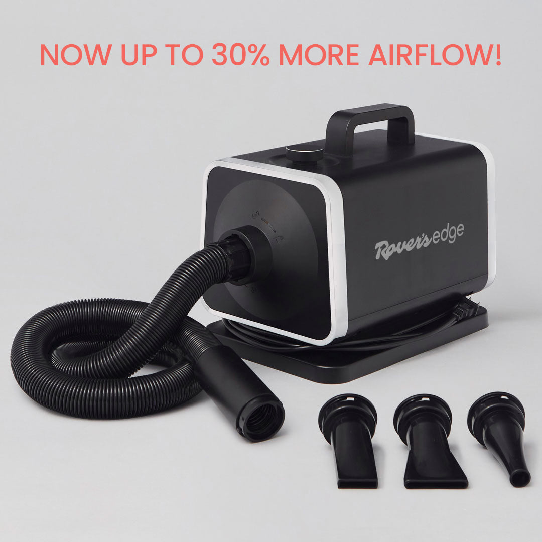 Alpha High Velocity Dryer