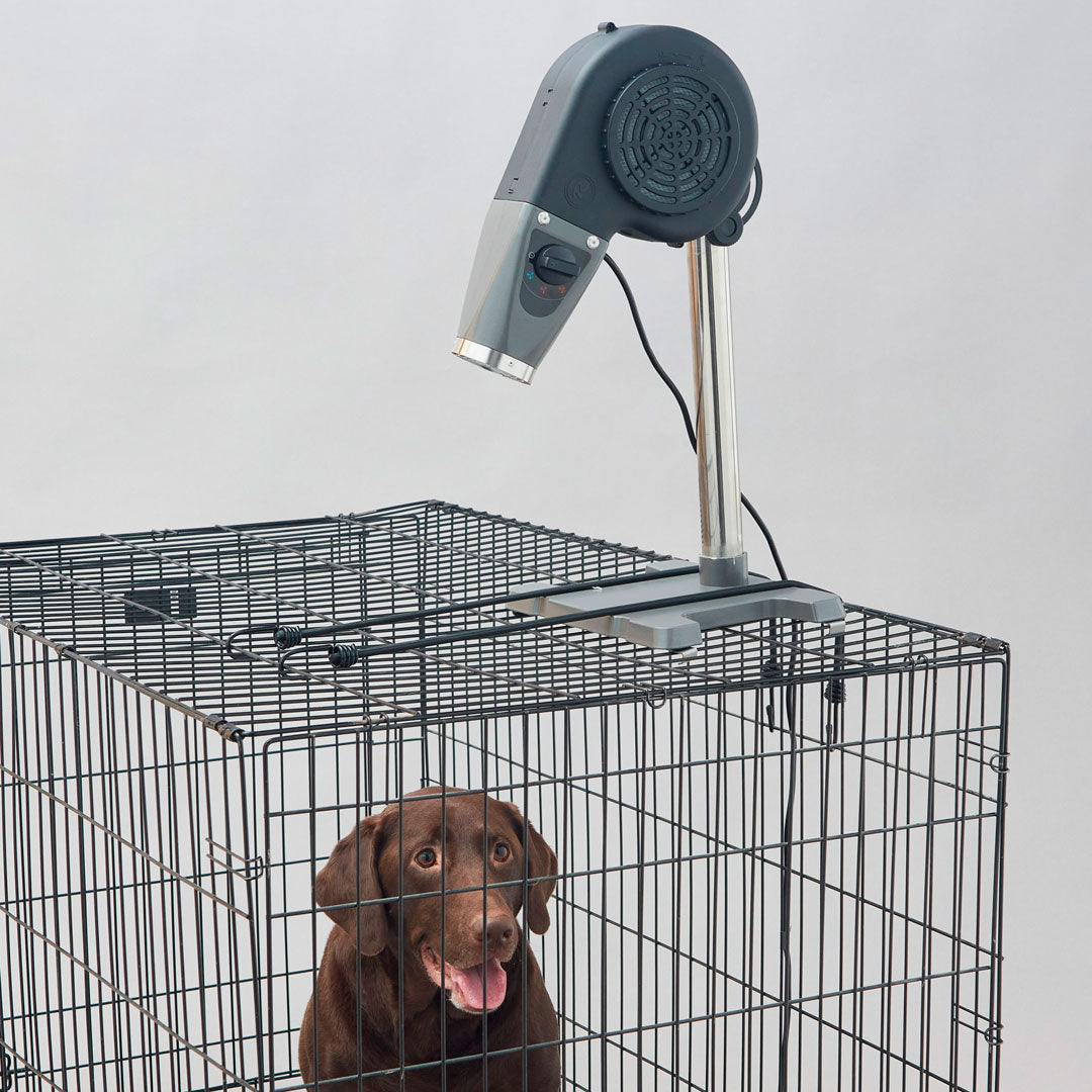 Buddy Low Velocity Tabletop Dryer