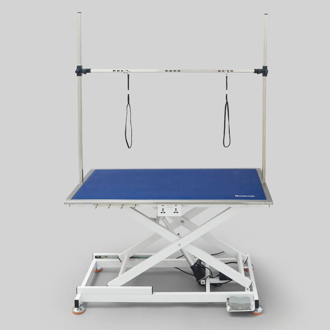 Hercules electric dog grooming table with SUS304 stainless steel tabletop