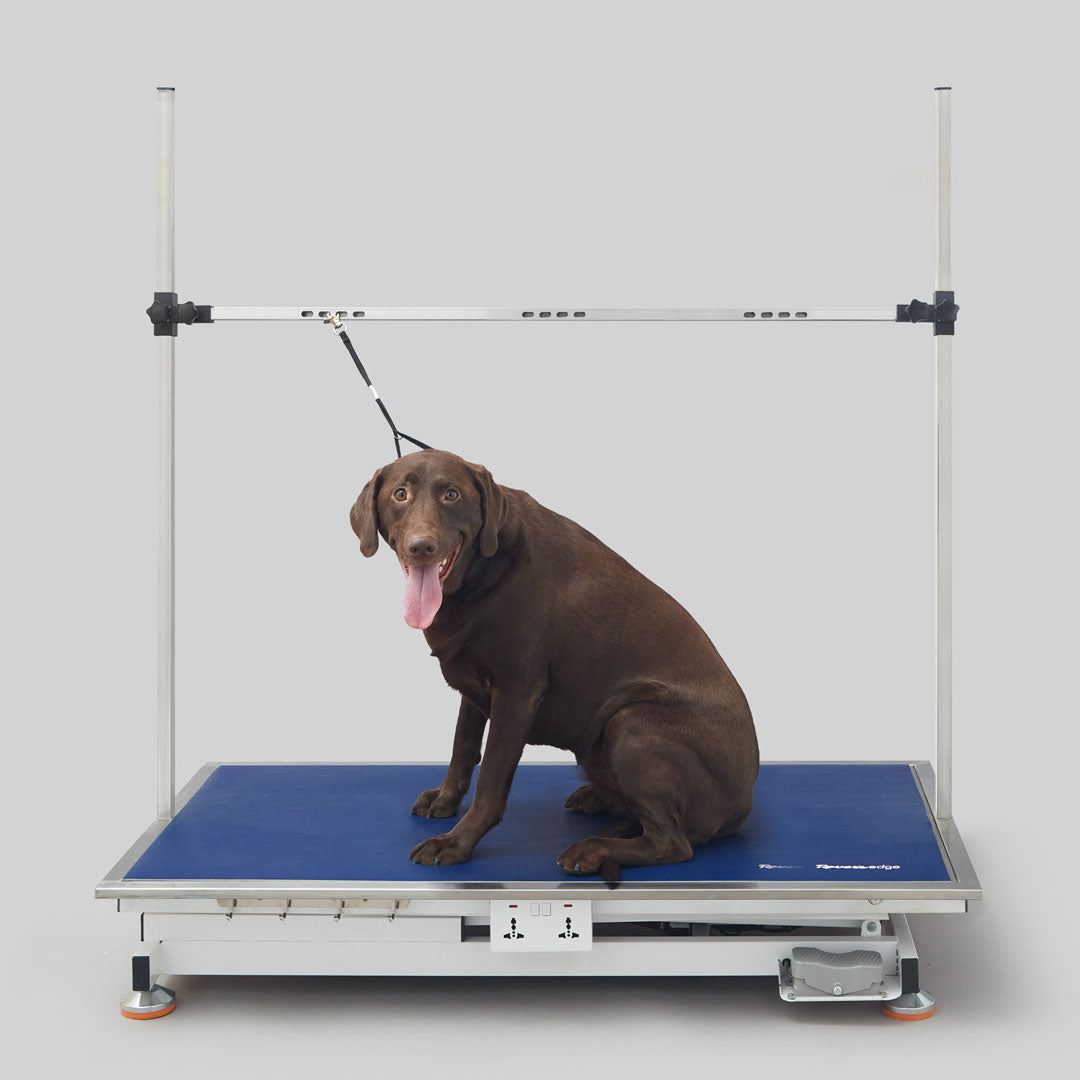 Hercules Electric Grooming Table