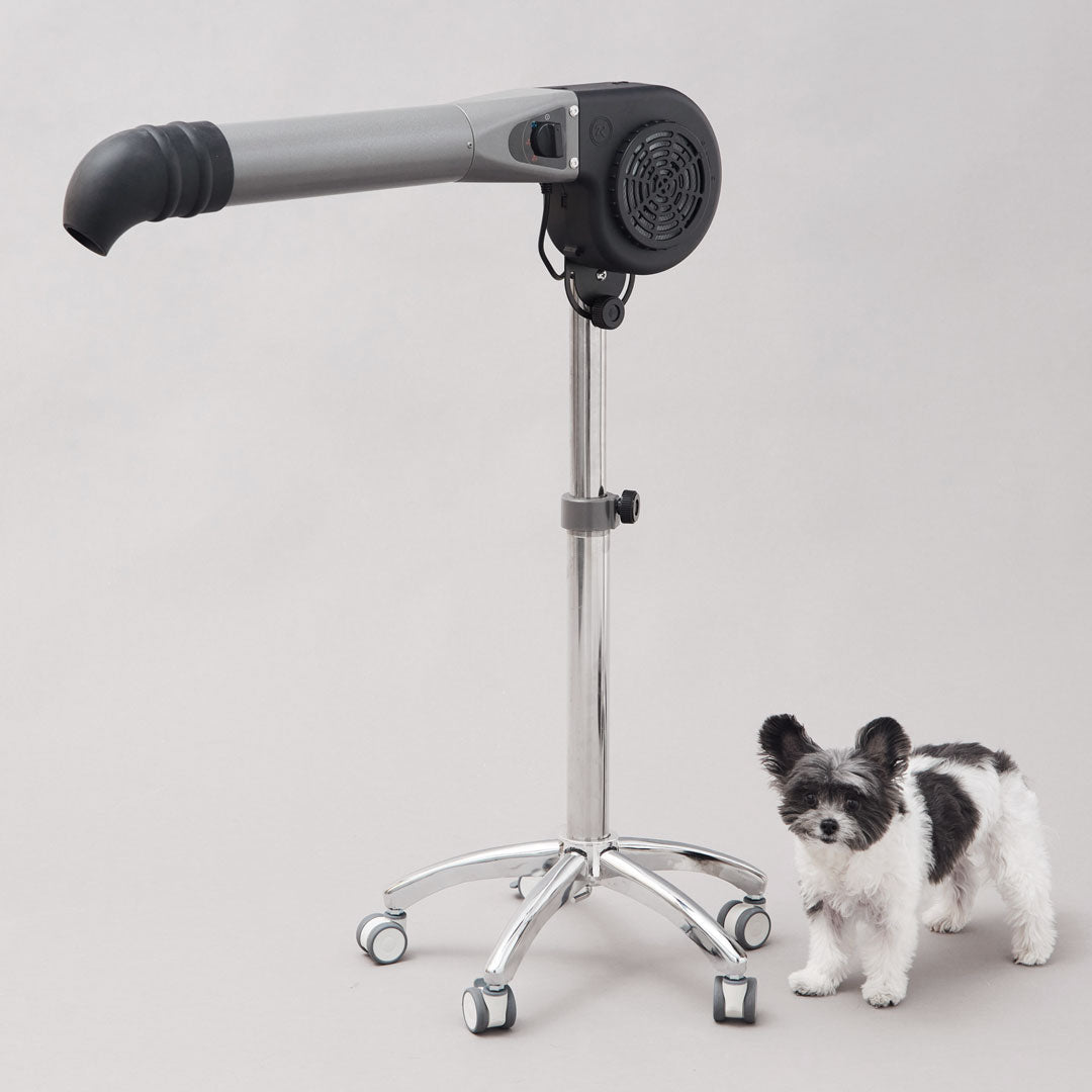 Rover’s Edge Spot professional stand dryer positioned beside a dog for controlled hands-free drying